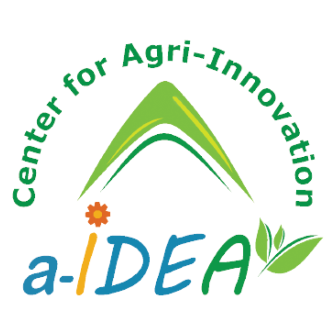 A-IDEA