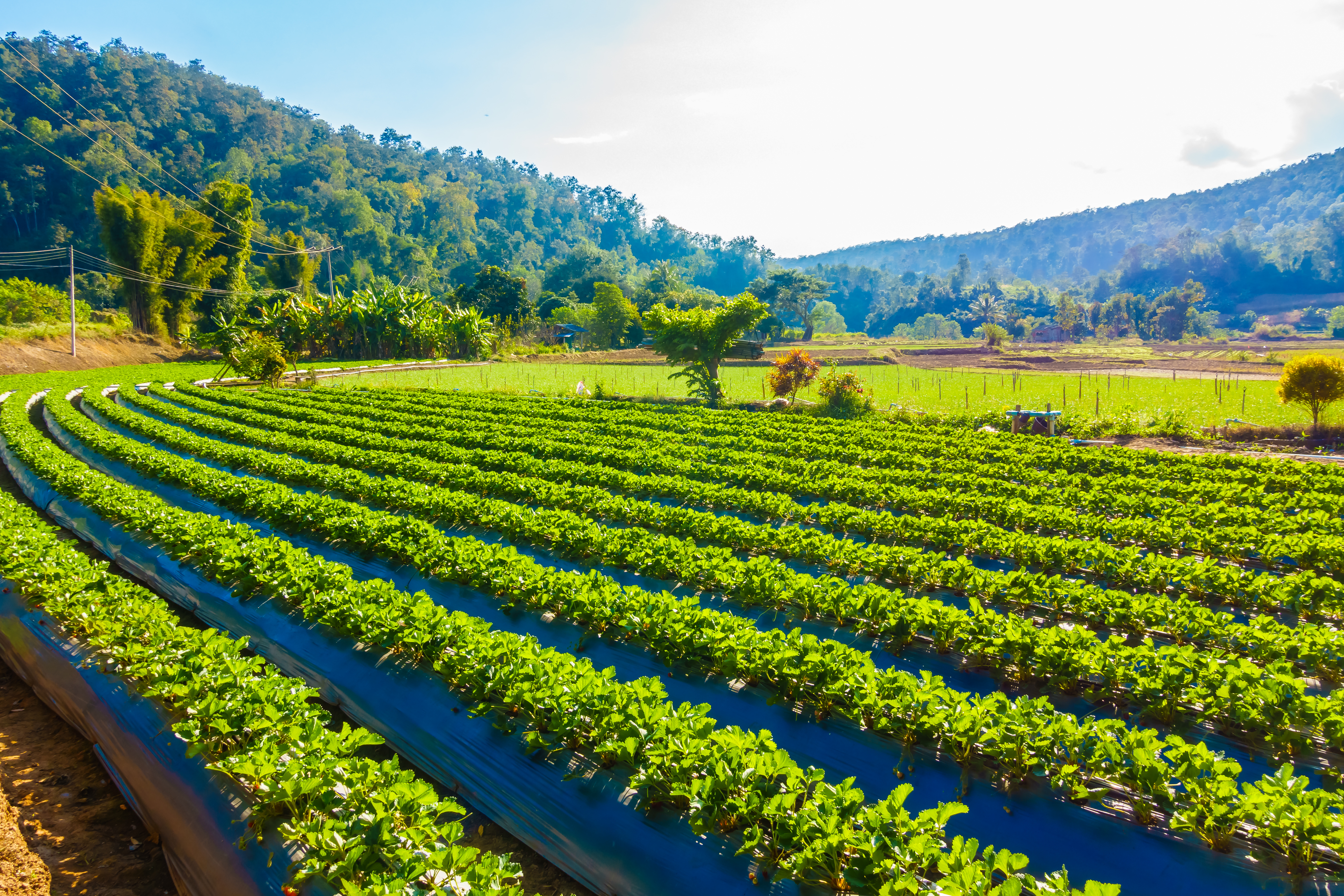 Agri360 - Complete Farm Automation